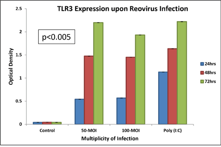 We confirm that TLR3 is involved in reovirus infection using HEK-Blue&#x2122; hTLR3 cells transfected with pUNO-TLR3 plasmid engineered with an inducible SEAP reporter gene.