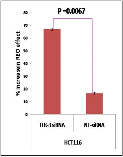 CRC cell line HCT116 was transiently transfected with TLR3 specific siRNA and NT siRNA.