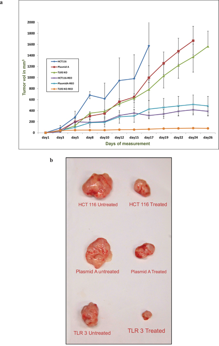 Figure 6: