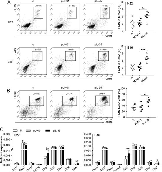 IL-35 promotes neutrophil infiltration in tumor microenvironment.