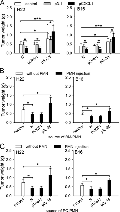 IL-35 switches the function of neutrophils toward tumor-promoting.