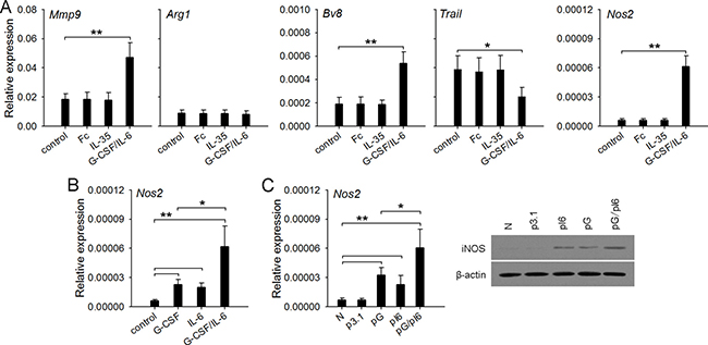 G-CSF/IL-6 but not IL-35 directly alters the function of neutrophils.