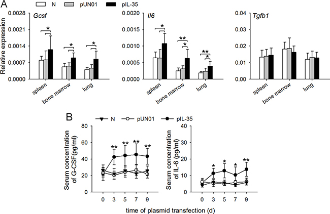 IL-35 increases G-CSF and IL-6 production in vivo.