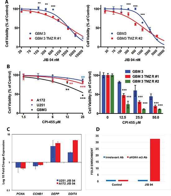 Effect of JIB 04 and CPI 455 on TMZ resistant GB cell lines and primary cultures and effect of JIB 04 on gene expression and H3 methylation.