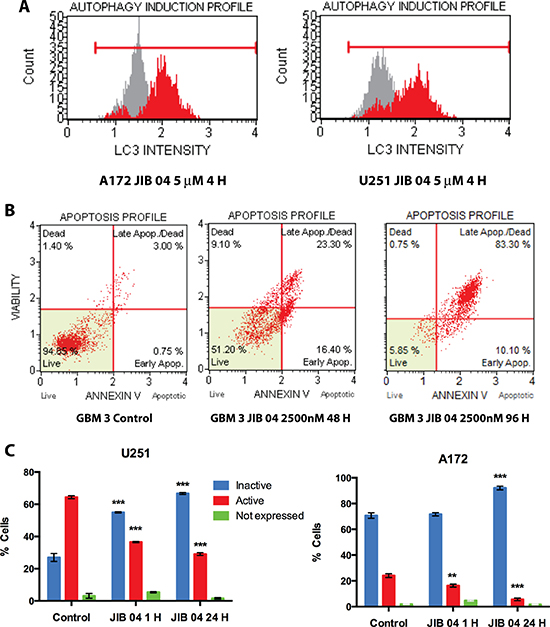 Functional effects of JIB 04 treatment on GB cells.