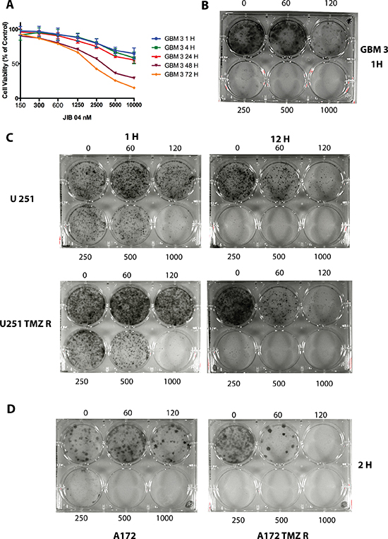 JIB 04 is a fast-acting molecule that inhibits clonogenicity.