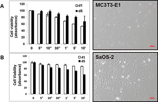 Morphology and cytotoxicity by atmospheric-pressure plasma.