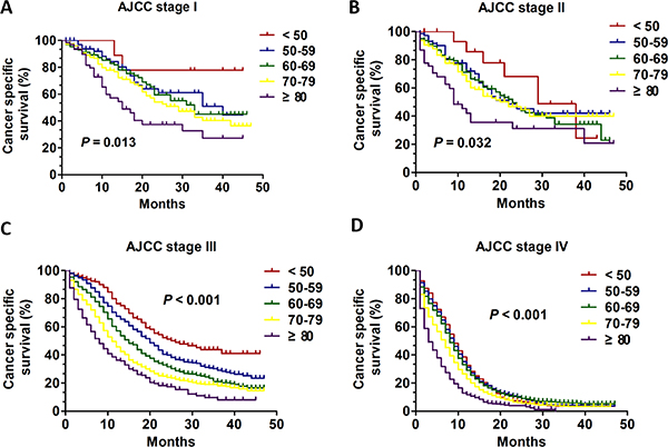 The survival curves in SCLC patients of different age groups at each stage between 2010 and 2013.
