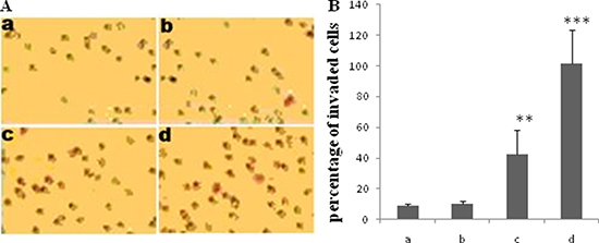 Effect of TGF-&#x03B2;1 on invasion of JEG-3 cells.