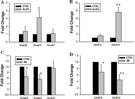 Effect of over-expression or inhibition of ALK5 on expression levels of Smad2, Smad3, MMP-9 and MMP-2.