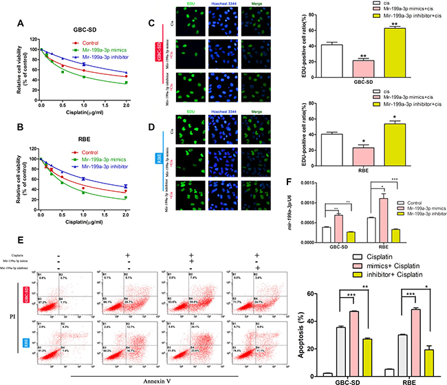 MiR-199a-3p enhanced cisplatin sensitivity of cholangiocarcinoma cells.