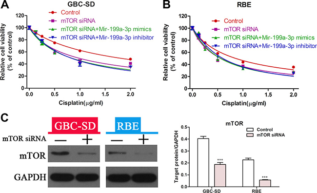 MiR-199a-3p enhanced cisplatin sensitivity of cholangiocarcinoma cells via the mTOR signal pathway.