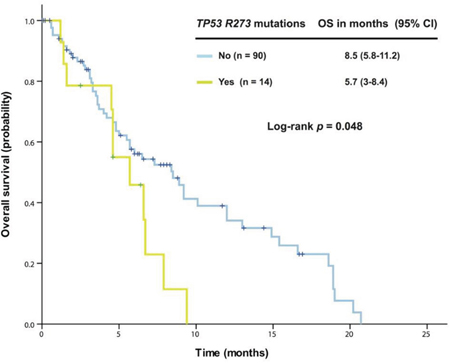 Kaplan-Meier overall survival (OS) curves in patients with KRAS+/TP53+ mutant colorectal cancer who received therapy in a phase I clinical trial, stratified by TP53 R273 mutation status (due to sample size, all p values are unadjusted)