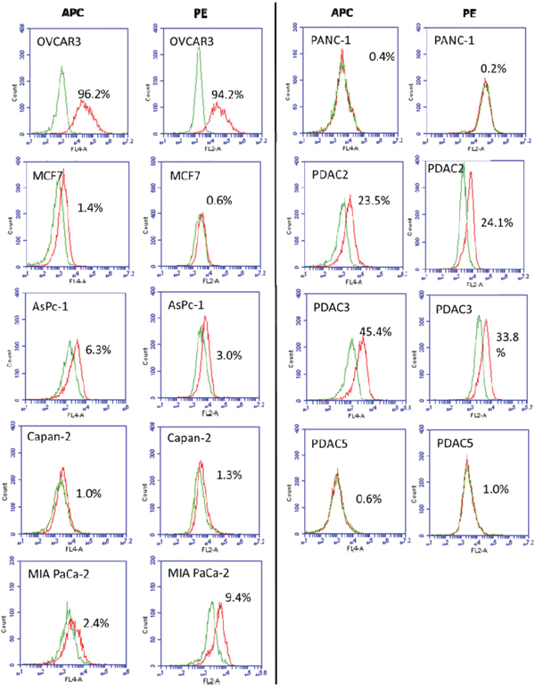 Analysis of FR&#x03B1; expression on human PDAC cell lines AsPC-1, Capan-2, MIA PaCa-2, PANC-1 PDAC2, PDAC3, and PDAC5.