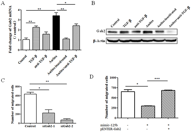 Gab2 mediates miR-125b-related cell migration in ovarian cancer cell.