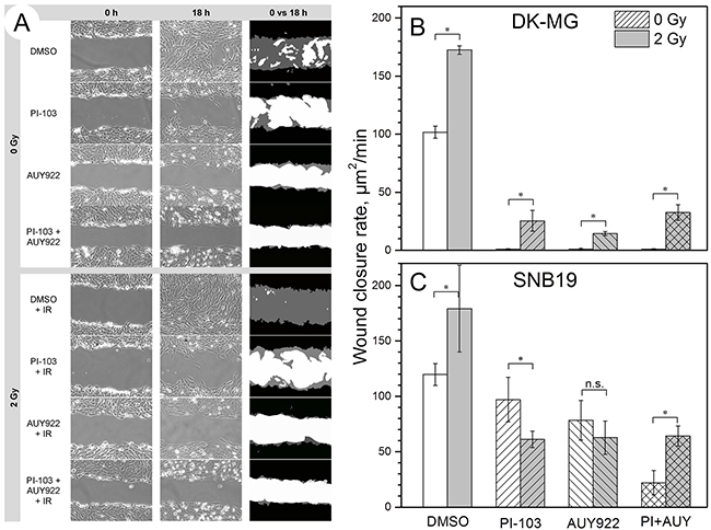 Effects of PI3K/mTOR and Hsp90 inhibition on the migration of non-irradiated and irradiated (2 Gy) cells studied by a wound healing assay.