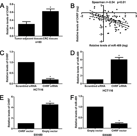 LncRNA CHRF negatively regulates miR-489 expression in CRC.