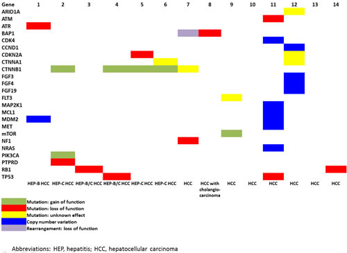 Overview of mutations in 14 patients with hepatocellular carcinoma.