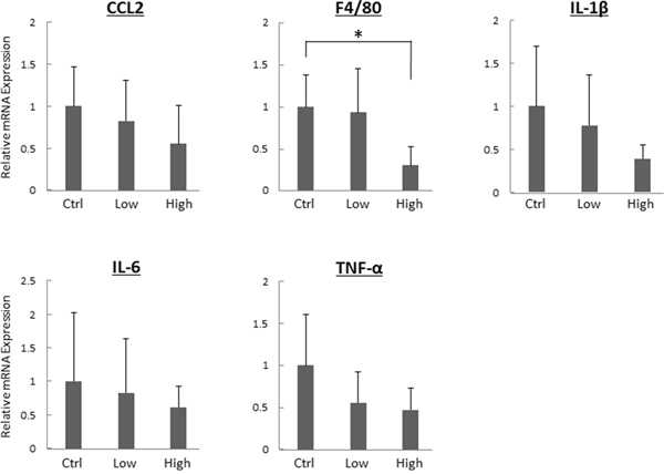 Effects of tofogliflozin on the expression levels of mRNA involved in inflammation in the liver of the experimental mice.