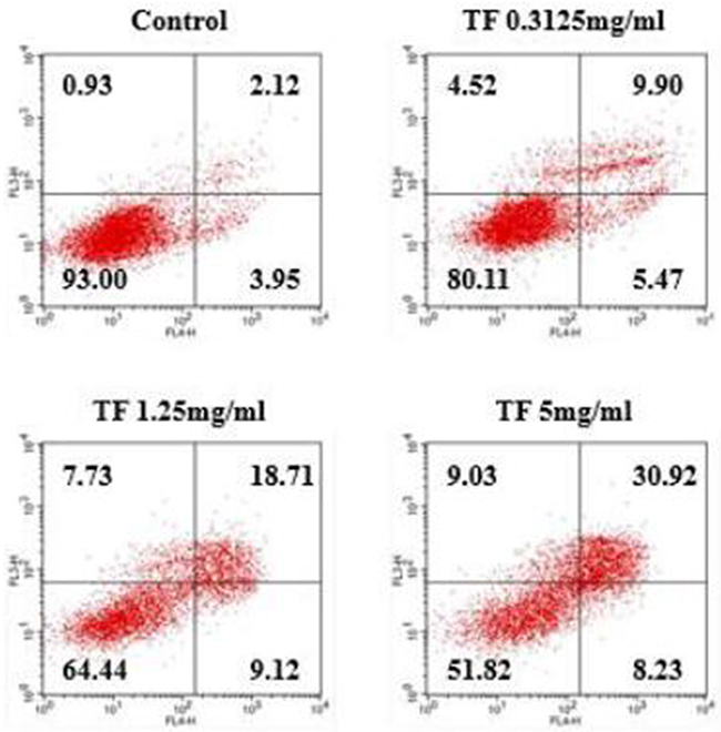 Study on the correlation between TF concentration and apoptosis of HepG2 cells.
