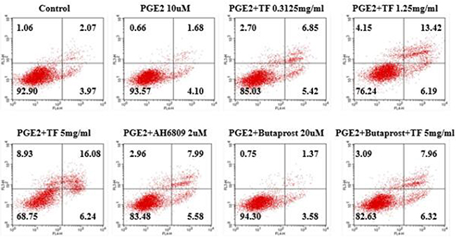 Effect of TF on apoptosis of HepG2 cells by flow cytometry.