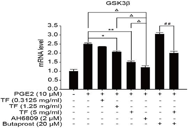 The expression of GSK-3&#x03B2; gene in different HepG2 cells groups.