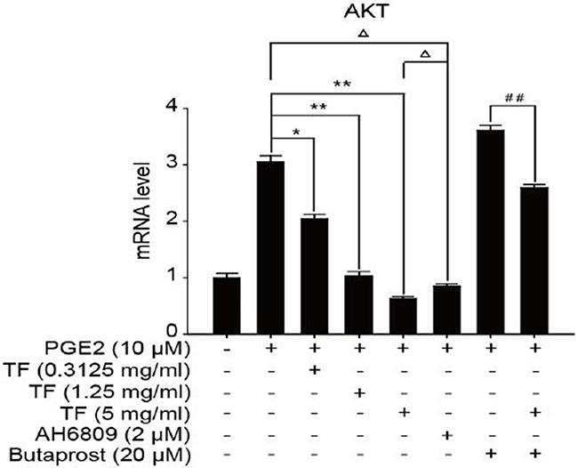 The expression of Akt gene in different HepG2 cells groups.