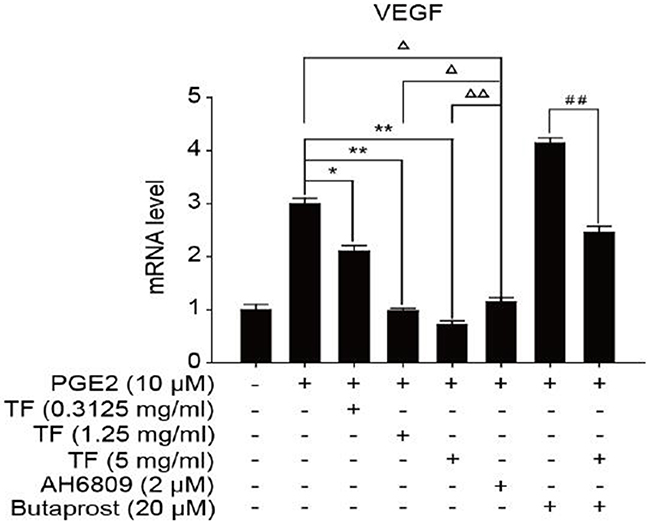 The expression of VEGF gene in different HepG2 cells groups.