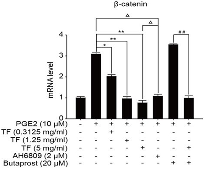 The expression of &#x03B2;-catenin gene in different HepG2 cells groups.