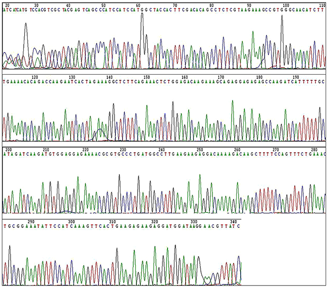 The result of sequencing of the C8orf4 gene in a representative lung cancer case.