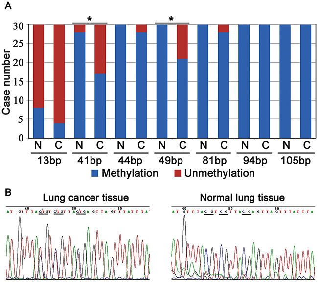 The results of Bisulfite sequencing PCR (BSP) analysis.