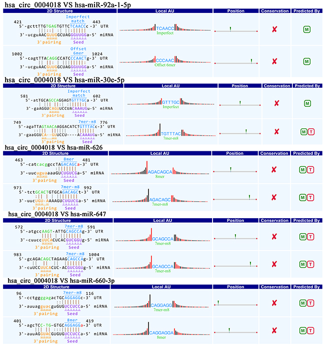 Prediction for hsa_circ_0004018/miRNA interactions.