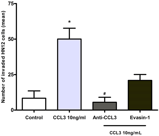Effects of CCL3 blockade in the invasion of HN12 cells.
