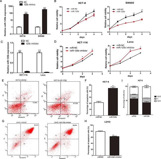 MiR-125b inhibited proliferation, promoted cell apoptosis and blocked cell cycle of CRC cells.