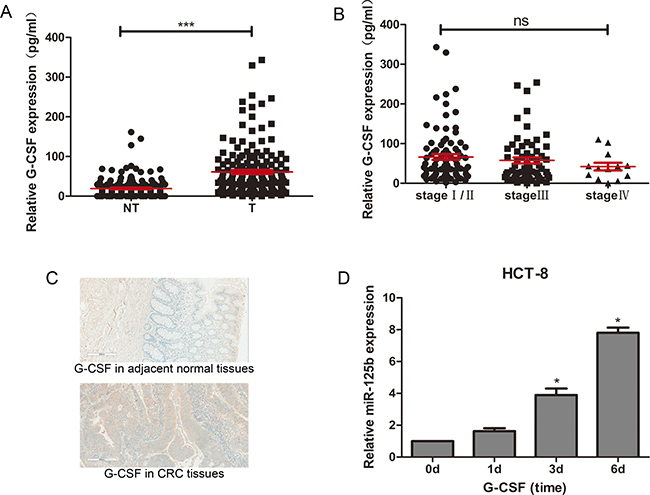 G-CSF promoted expression of miR-125b in HCT-8 and upregulated in CRC tissues.