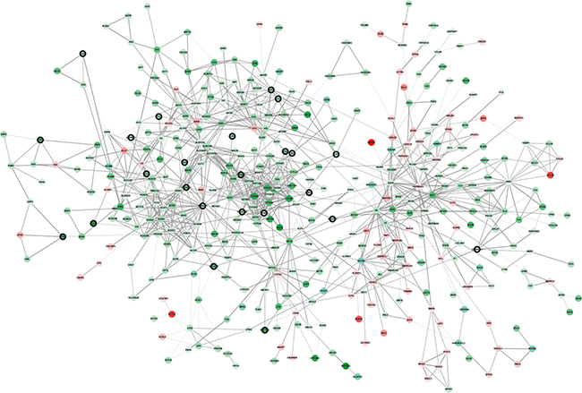 Protein&#x2013;protein interaction network of genes in the red module.