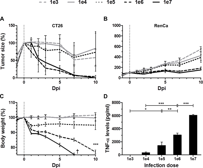 Dose-response relationship between SL7207 and therapeutic effects.