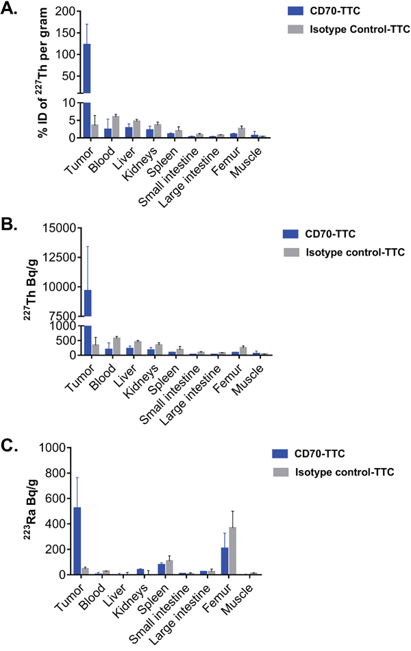 Biodistribution of CD70-TTC in the subcutaneous 786-O xenograft model.