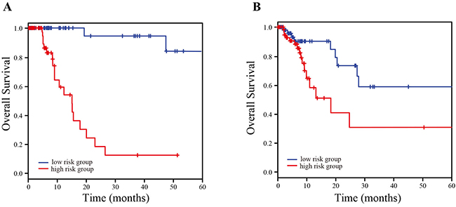 Kaplan-Meier estimation of overall survival of TCGA LUAD patients using the four-lncRNA signature.