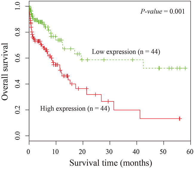 Kaplan-Meier survival curves of patients with LUAD based on SPRY4-IT1 expression.