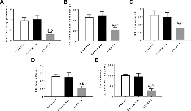 Suppression of HSF1 expression by specific siRNA induces decrease in AKT activity, fatty acid biosynthesis, cholesterol and triglyceride levels, and lactate dehydrogenase activity in the HLE HCC cell line.