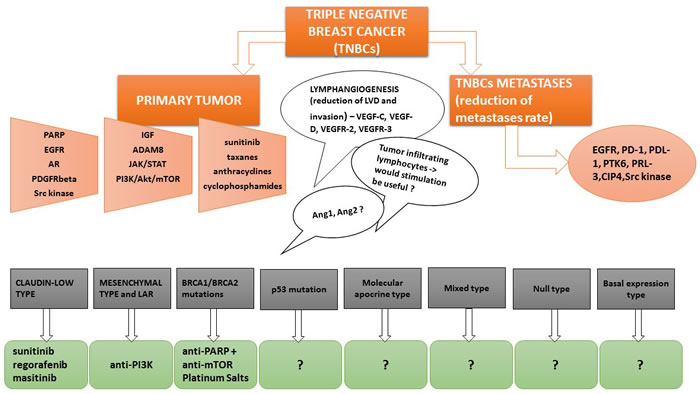 Figure1: Different potential therapeutic options in TNBCs related to the most neglected but important therapeutic targets.