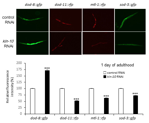 Figure 5: