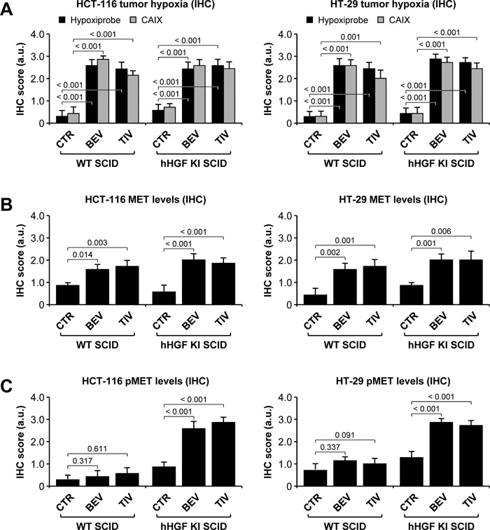 Anti-angiogenic therapy of orthotopic colorectal tumors promotes hypoxia-mediated, HGF-dependent MET activation.