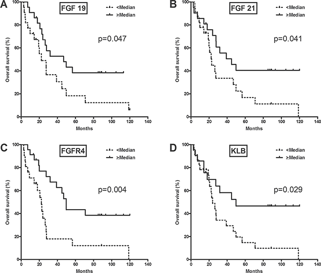 Overall survival according to FGFR4-related gene expression.