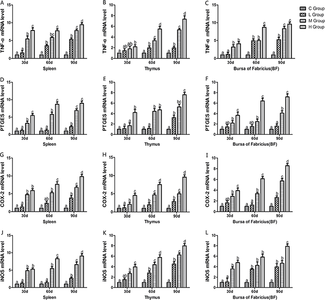 Effects of As2O3 on mRNA expression of TNF-&#x03B1;, PTGEs, COX-2, iNOS gene at 30, 60 and 90 days.