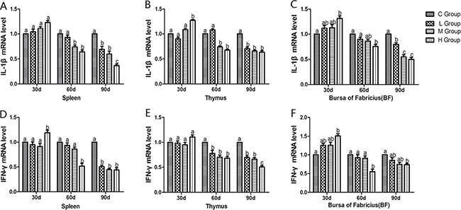 Effects of As2O3 on mRNA expression of IL-1&#x03B2;, IFN-&#x03B3; gene at 30, 60 and 90 days.