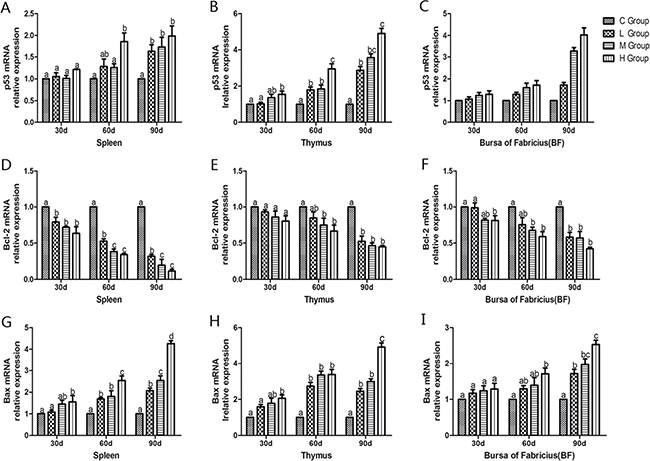 Effects of As2O3 on mRNA expression of p53, Bcl-2 and Bax gene at 30, 60 and 90 days.