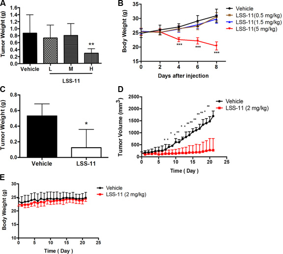 LSS-11 inhibits tumor growth