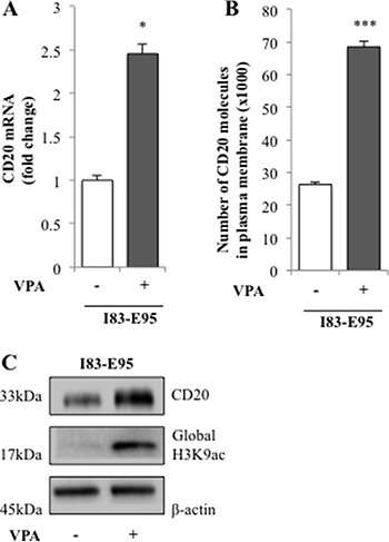CD20 expression is induced by valproate in the I83-E95 CLL cell line.